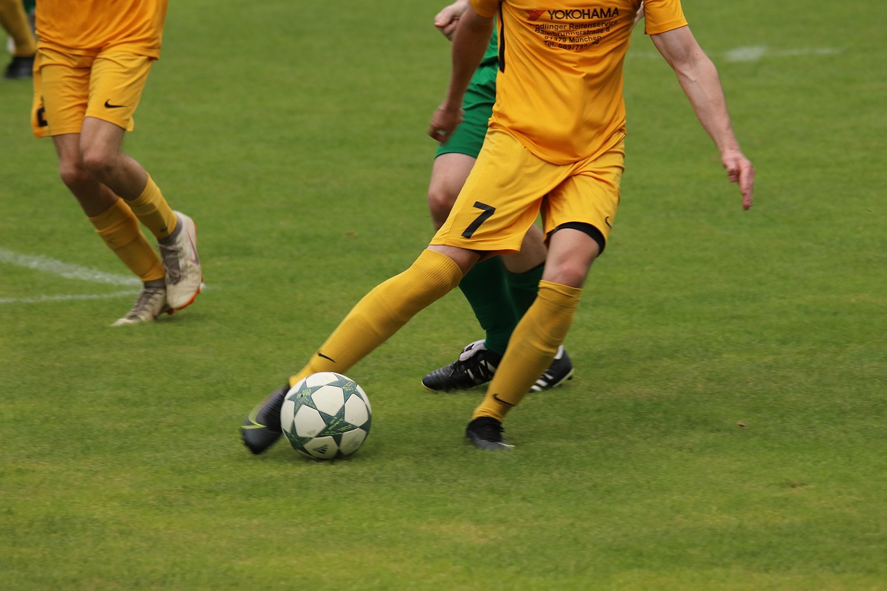 要明星球员 要明星球员