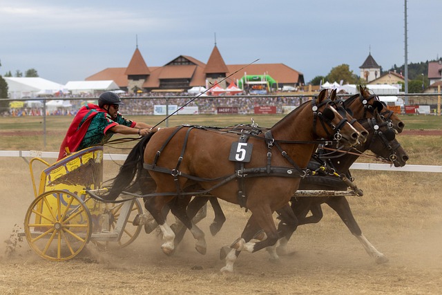 球队利用封 球队利用封