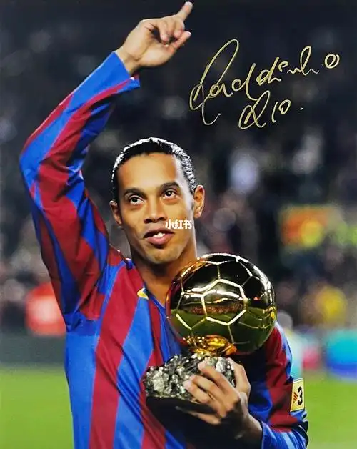 在澳大利亚 在澳大利亚